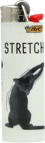 BIC Feuerzeug Sporting Cats Stretch 7v8 BIC Feuerzeug Sporting Cats Stretch 7v8