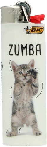 BIC Feuerzeug Sporting Cats Zumba 5v8 BIC Feuerzeug Sporting Cats Zumba 5v8