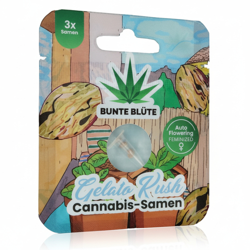 Bunte Blüte Gelato Kush Cannabis-Samen 3 Samen