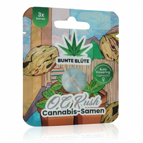 Bunte Blüte OG Kush THC Cannabis-Samen 3 Samen