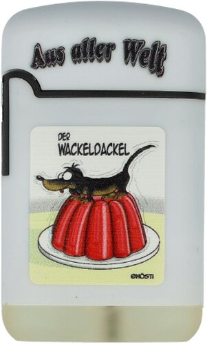 Easy Torch Feuerzeug Aus aller Welt 2v4