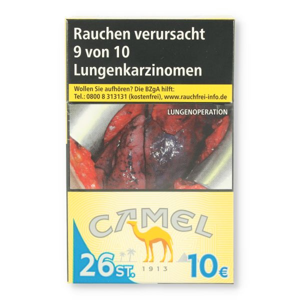 Einzelpackung Camel 100er (1x26)