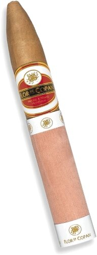 Flor de Copan Belicoso Zigarre 1 Stk.