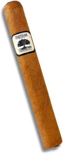 Foundation Cigars Charter Oak CT Shade Toro Zigarre 1 Stk. Foundation Cigars Charter Oak CT Shade Toro Zigarre 1 Stk.