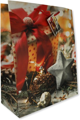 Geschenktüte Geschenk TBH 26x32x12cm 1 Stk. Geschenktüte Geschenk TBH 26x32x12cm 1 Stk.