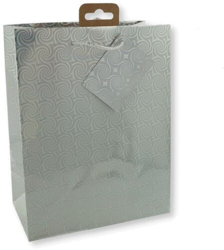 Geschenktüte Laser/Metallic Silber TBH 10x18x23cm 1 Stk. Geschenktüte Laser/Metallic Silber TBH 10x18x23cm 1 Stk.
