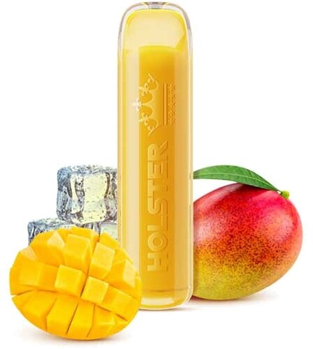 Holster Vape Einweg E-Shisha Mango Ice 20mg 600 Züge