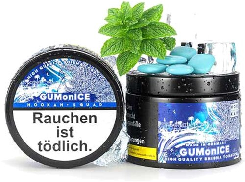 Hookah Squad GUMonICE (Kaugummi, Ice) Shisha Tabak 200g 