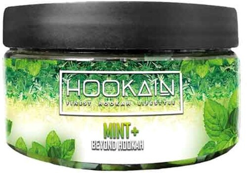 HOOKAiN Beyond Steam Stones Mint Dampfstein 100g HOOKAiN Beyond Steam Stones Mint Dampfstein 100g