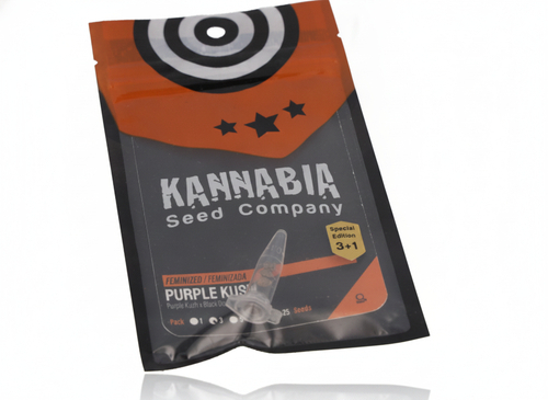 Kannabia Cannabis Samen Purple Kush 4 Stk.