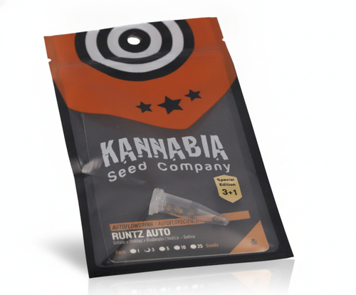 Kannabia Cannabis Samen Runtz Auto 4 Stk.