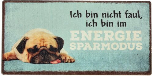 Kühlschrankmagnet Ich bin nicht faul, ich bin im ENERGIE SPARMODUS 10x5cm