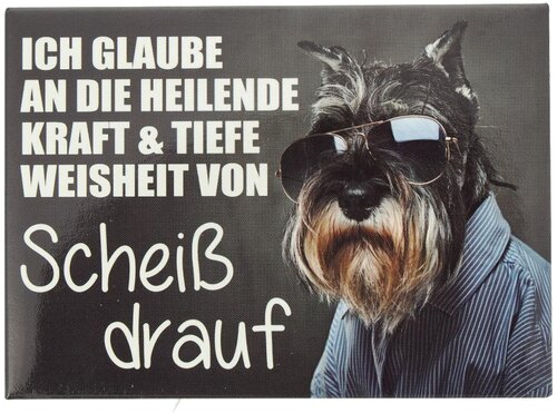 Kühlschrankmagnet ICH GLAUBE AN DIE HEILENDE KRAFT & TIEFE WEISHEIT VON SCHEIß DRAUF 9x6,5cm