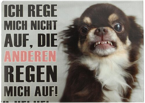 Kühlschrankmagnet ICH REGE MICH NICHT AUF, DIE ANDEREN REGEN MICH AUF! 9x6,5cm Kühlschrankmagnet ICH REGE MICH NICHT AUF, DIE ANDEREN REGEN MICH AUF! 9x6,5cm