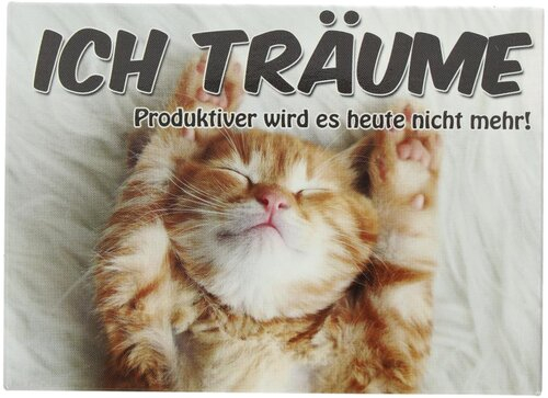 Kühlschrankmagnet ICH TRÄUME Produktiver wird es heute nicht mehr! 9x6,5cm
