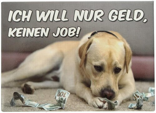 Kühlschrankmagnet ICH WILL NUR GELD, KEINEN JOB! 9x6,5cm Kühlschrankmagnet ICH WILL NUR GELD, KEINEN JOB! 9x6,5cm