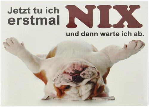 Kühlschrankmagnet Jetzt tu ich erstmal NIX und dann warte ich ab. 9x6,5cm Kühlschrankmagnet Jetzt tu ich erstmal NIX und dann warte ich ab. 9x6,5cm