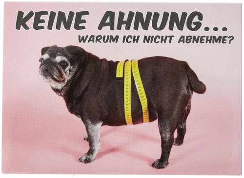 Kühlschrankmagnet KEINE AHNUNG…WARUM ICH NICHT ABNEHME? 9x6,5cm