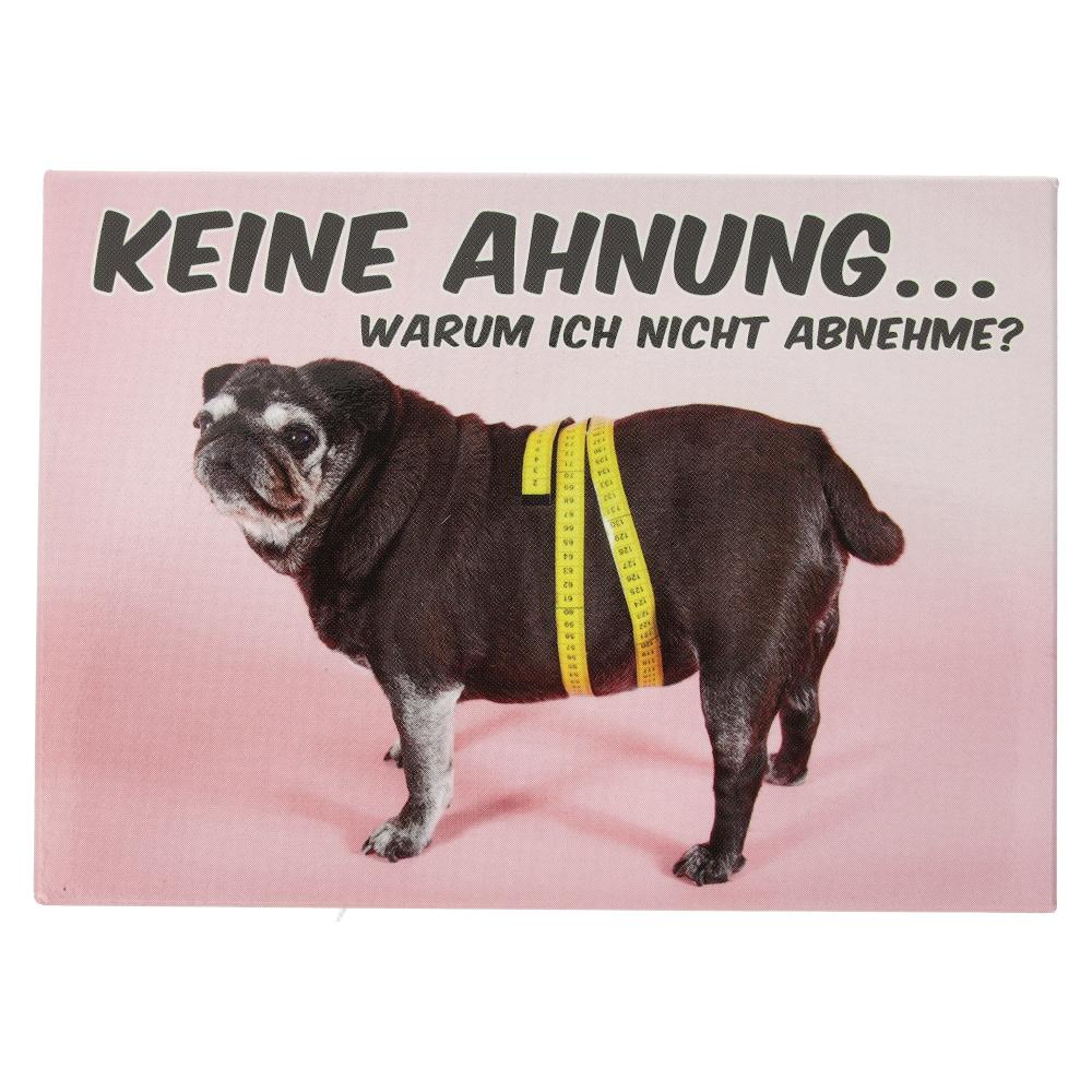 Kühlschrankmagnet KEINE AHNUNG…WARUM ICH NICHT ABNEHME? 9x6,5cm Kühlschrankmagnet KEINE AHNUNG…WARUM ICH NICHT ABNEHME? 9x6,5cm