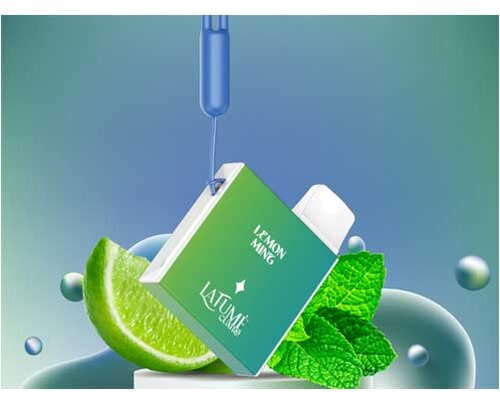 La Fume Cuatro 600 Lemon Mint Einweg E-Zigarette 20mg La Fume Cuatro 600 Lemon Mint Einweg E-Zigarette 20mg