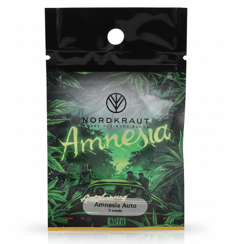 Nordkraut Amnesia Auto Cannabis-Samen 3 Stück