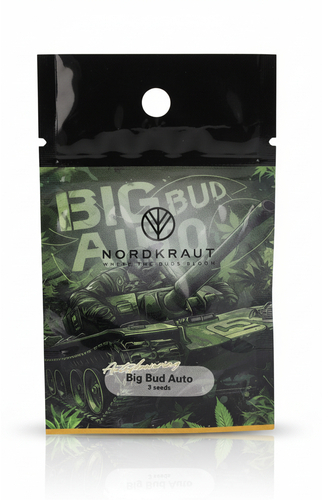 Nordkraut Big Bud Auto Cannabis-Samen 3 Stück