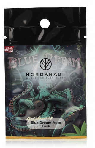 Nordkraut Blue Dream Auto Cannabis-Samen 3 Stück