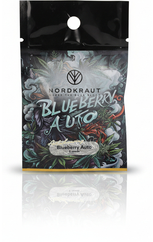 Nordkraut Blueberry Auto Cannabis-Samen 3 Stück