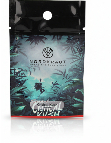 Nordkraut Critical Kush Cannabis-Samen 3 Stück