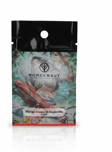 Nordkraut Mango Cream X Cinderella Cannabis-Samen 3 Stück