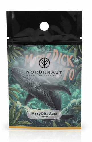 Nordkraut Moby Dick Auto Cannabis-Samen 3 Stück
