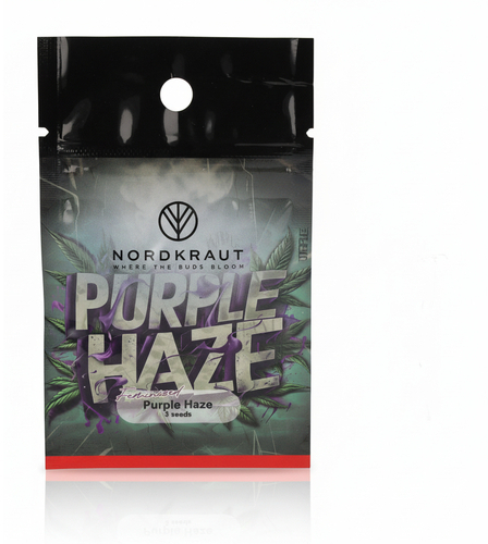 Nordkraut Purple Haze Cannabis-Samen 3 Stück