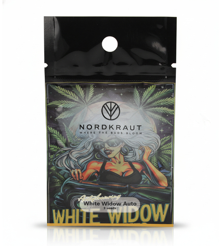 Nordkraut White Window Auto Cannabis-Samen 3 Stück