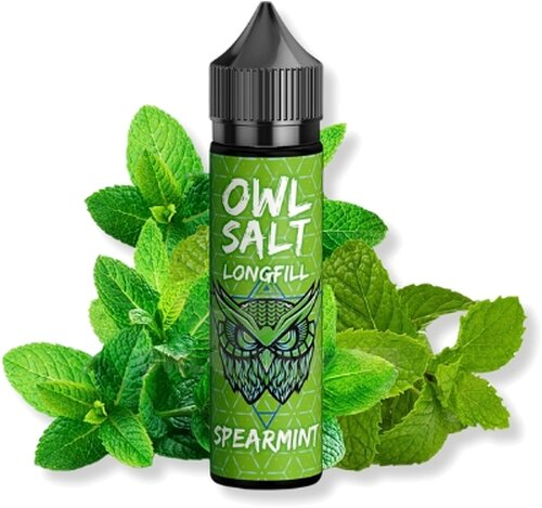 OWL Salt Longfill Spearmint Aroma 10ml