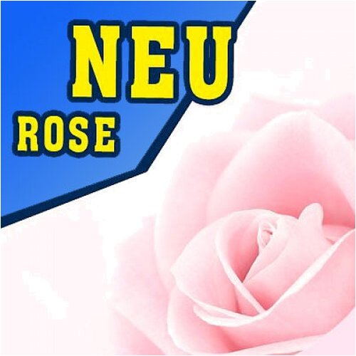 P902 - 325ml Shisha Molasse - Rose P902 - 325ml Shisha Molasse - Rose