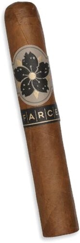 Room 101 Farce Robusto Zigarre 1 Stk.