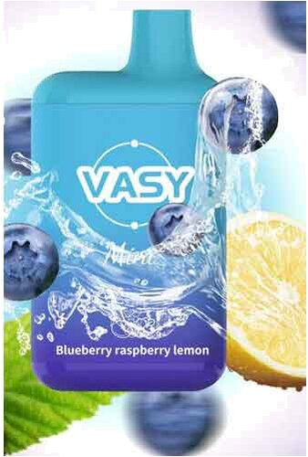Vasy Mini Blueberry Raspberry Lemon Einweg E-Shisha 20mg Vasy Mini Blueberry Raspberry Lemon Einweg E-Shisha 20mg