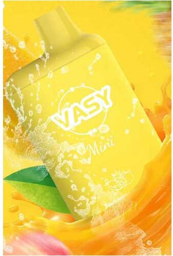 Vasy Mini Peach Mango Pineapple Einweg E-Shisha 20mg Vasy Mini Peach Mango Pineapple Einweg E-Shisha 20mg