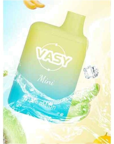 Vasy Mini Triple Melon Einweg E-Shisha 20mg Vasy Mini Triple Melon Einweg E-Shisha 20mg