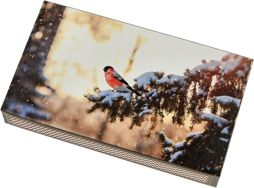Zündhölzer Modern Winter 1x45 Stück Vogel