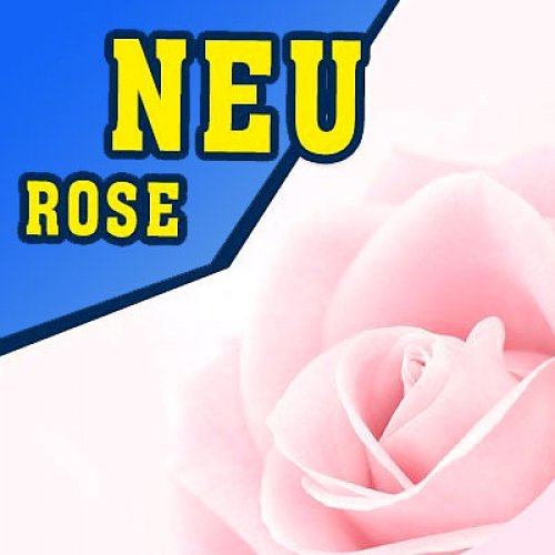 P902 - 325ml Shisha Molasse - Rose P902 - 325ml Shisha Molasse - Rose