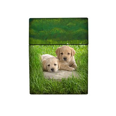 Atomic Zigarettenbox 25er Motiv Labrador Atomic Zigarettenbox 25er Motiv Labrador