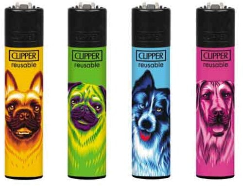 Artikelbild_Klein Artikelbild_Klein