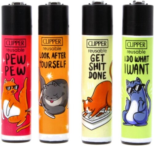 Artikelbild_Klein Artikelbild_Klein