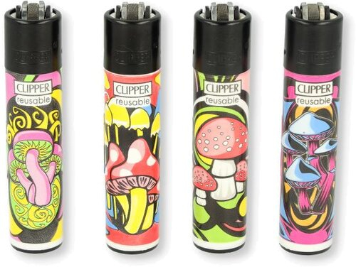 Artikelbild_Klein Artikelbild_Klein