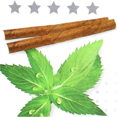 Artikelbild_Klein Artikelbild_Klein