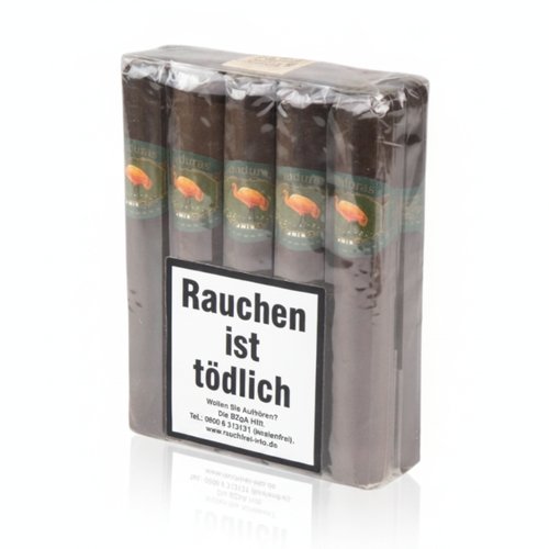 Artikelbild_Klein