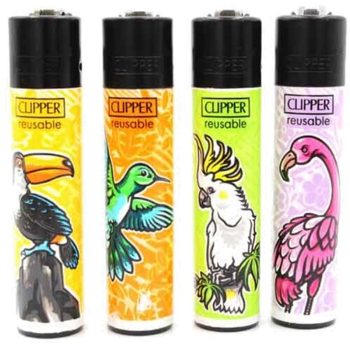 Artikelbild_Klein Artikelbild_Klein