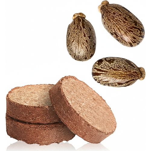 Artikelbild_Klein Artikelbild_Klein