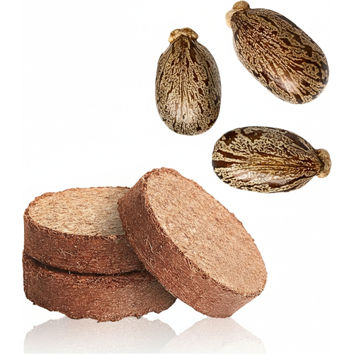 Artikelbild_Klein Artikelbild_Klein